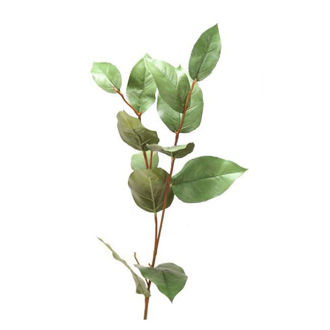Picture of Distinctive Designs DG-808 31&apos; Basil Leaf