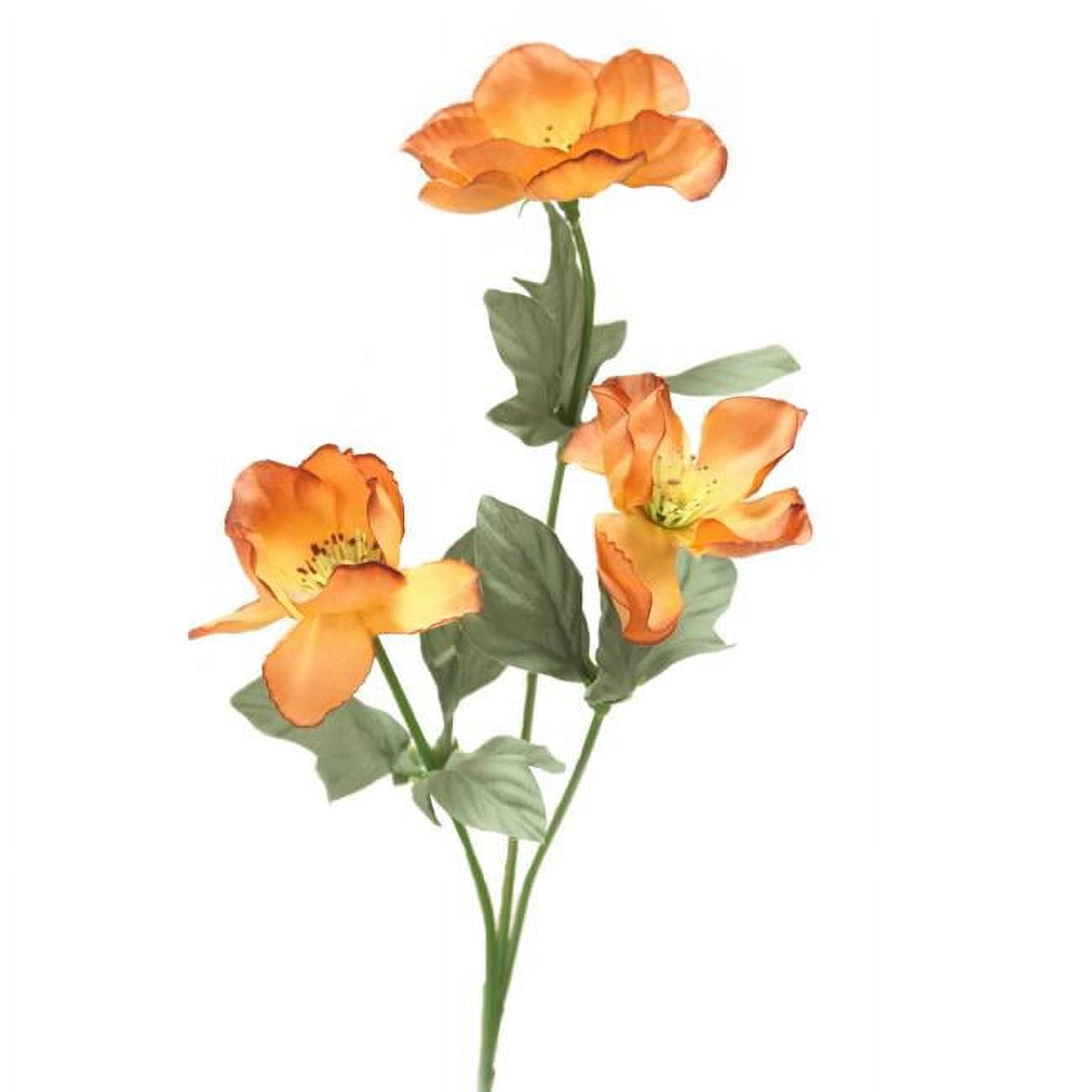 Anemone Spray, Lt.Brown