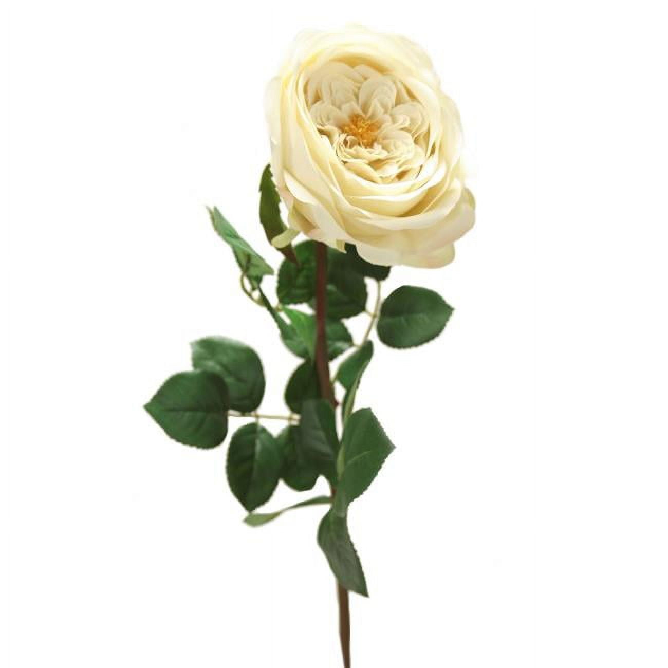 Picture of Distinctive Designs DI-725-CRGR 27&apos; English Garden Rose x 1 - Cream Green
