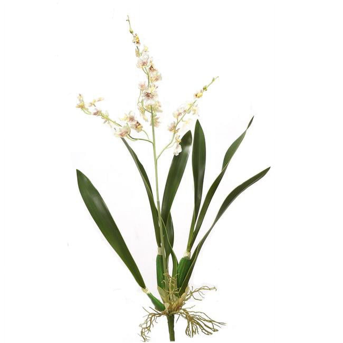 Picture of Distinctive Designs DI-629-WHBW 27&apos; Dancing Orchid Plant