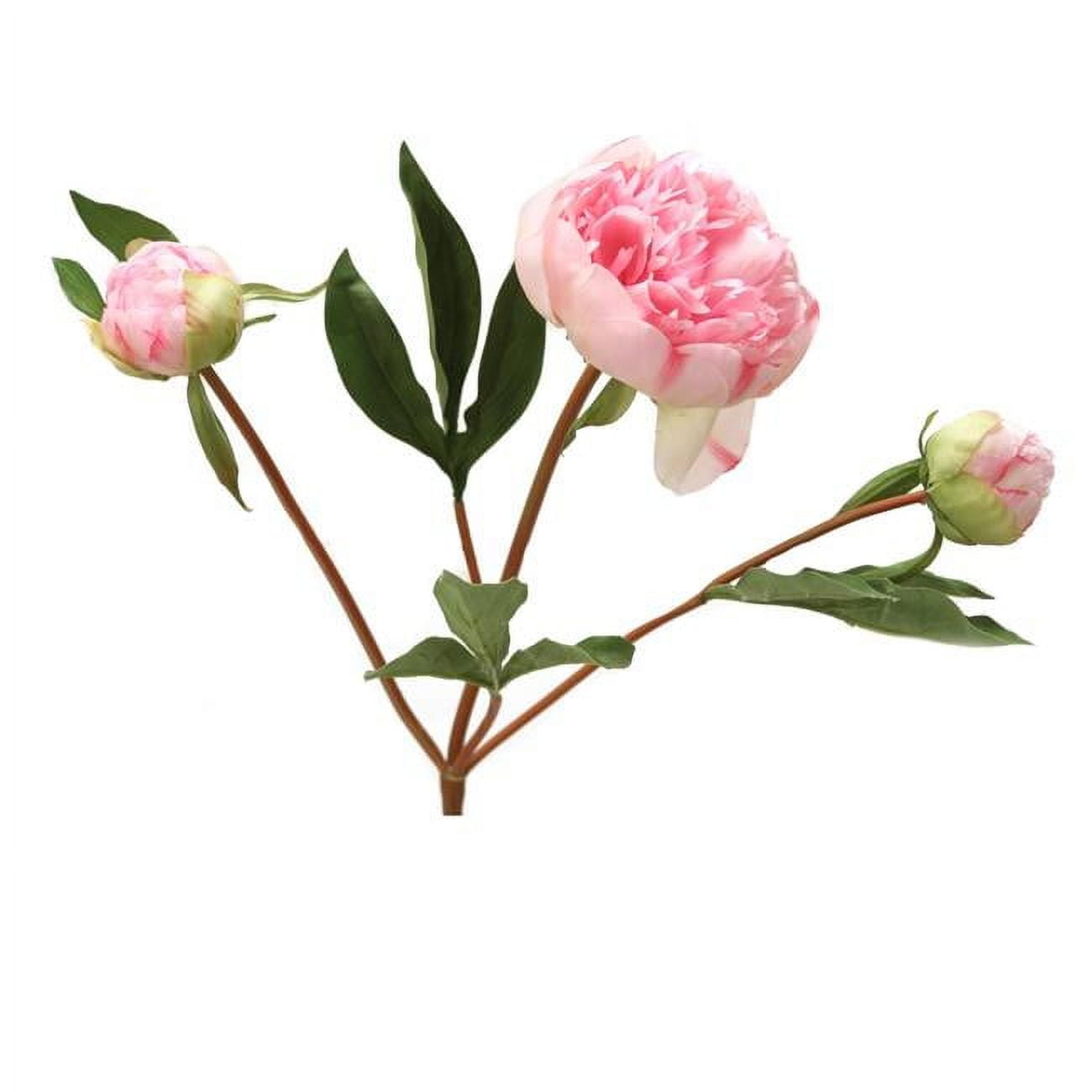 17' Pink Fuschia Peony Stem
