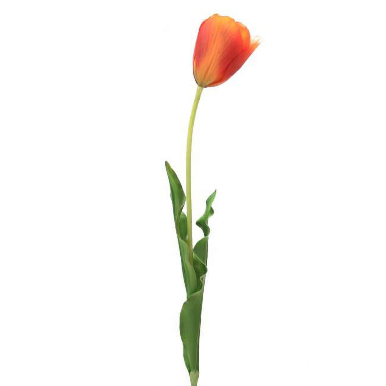 Picture of Distinctive Designs DI-747-DKORRD 31&apos; Large Open Tulip