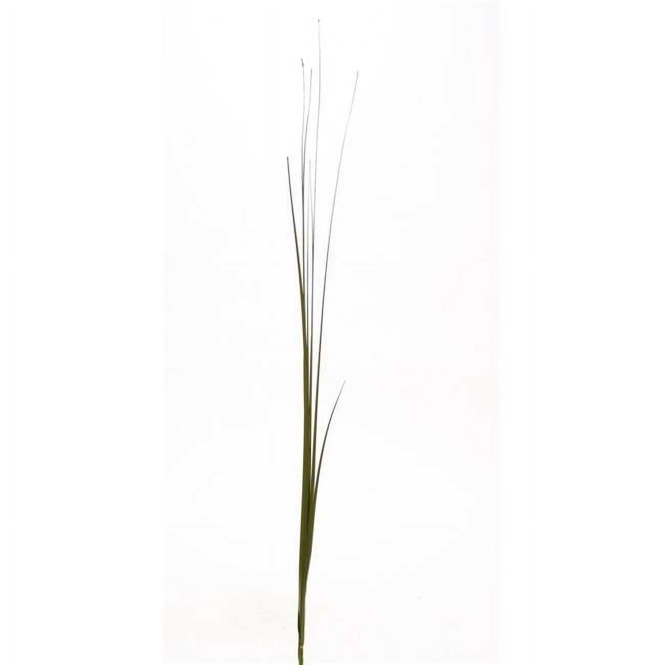 Picture of Distinctive Designs DG-188-OVGR 37&apos; Pvc Grass