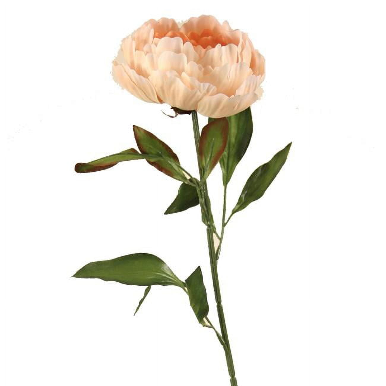 Satin Single Peony