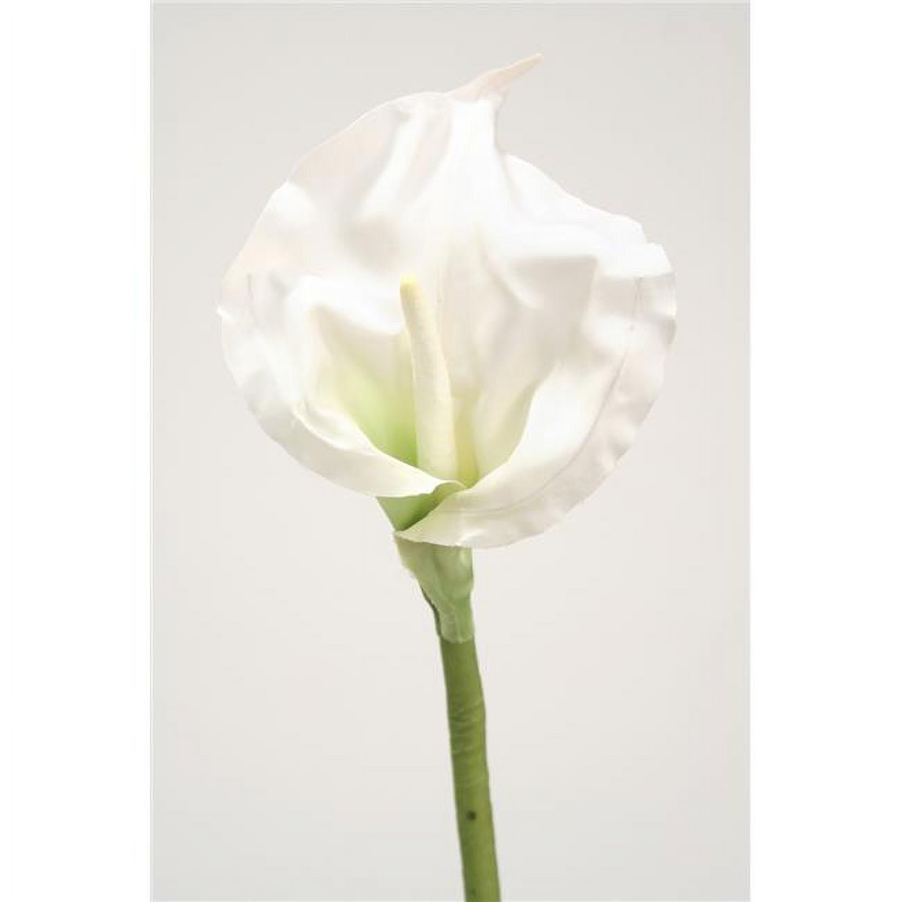 Distinctive Designs DW-1131-CR Calla Lily Open - Cream