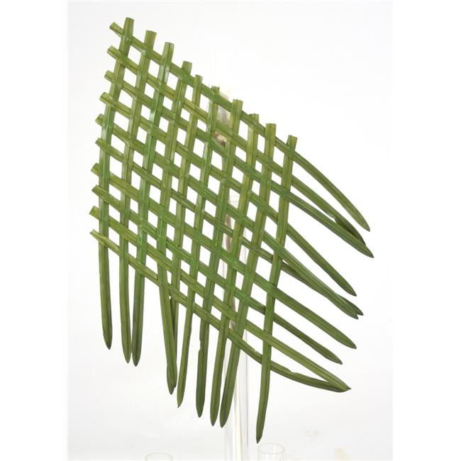 Picture of Distinctive Designs DG-298-GR Plastic Grass Weaving Placemat