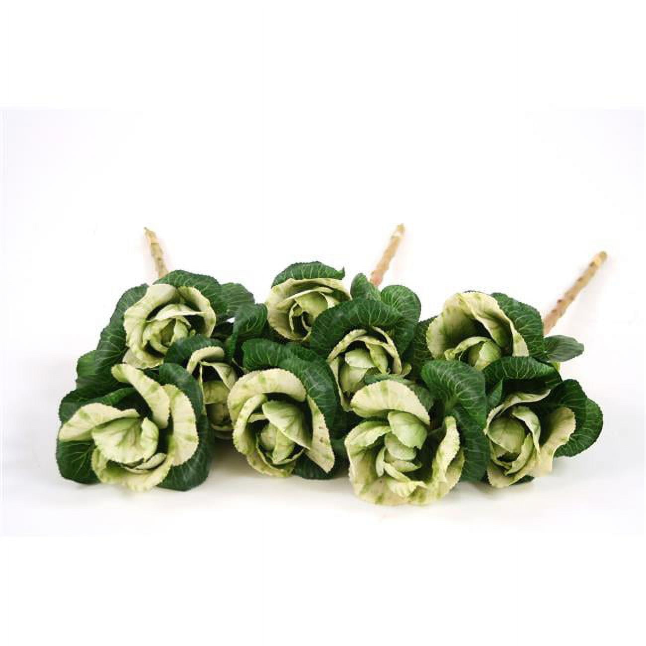 24' Kale Leaves in Two Tone Green