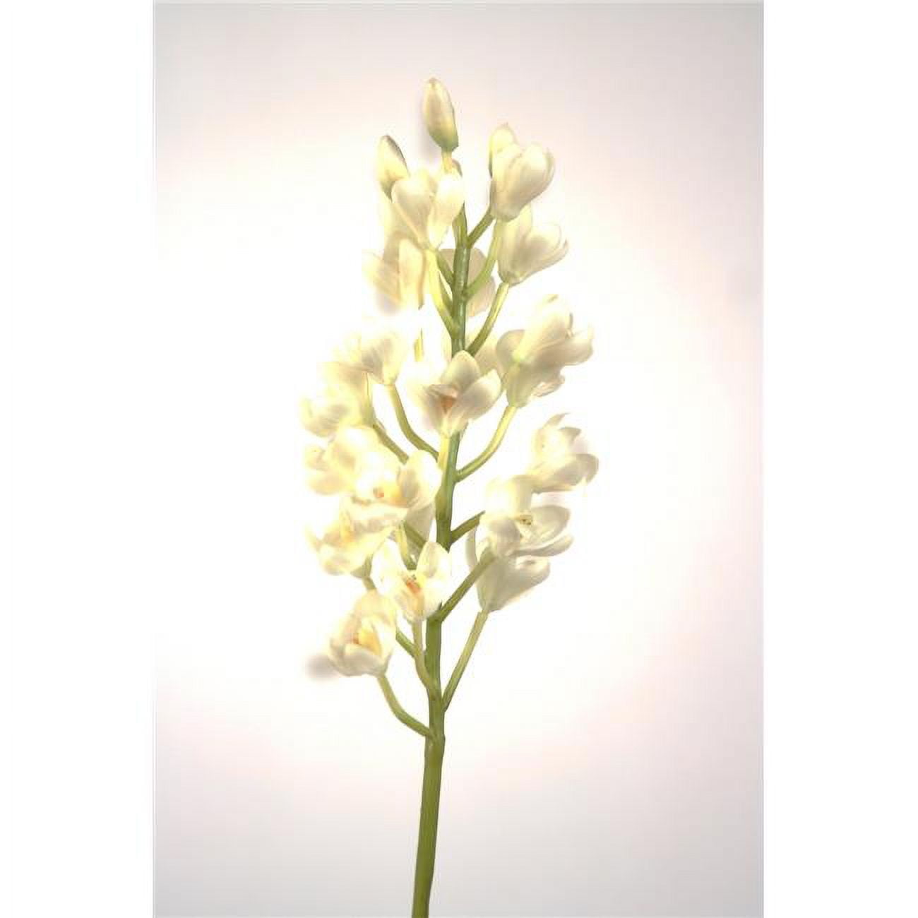 Picture of Distinctive Designs DI-779Z-CRWH 20&apos; Mini Cybidium Stem x 1