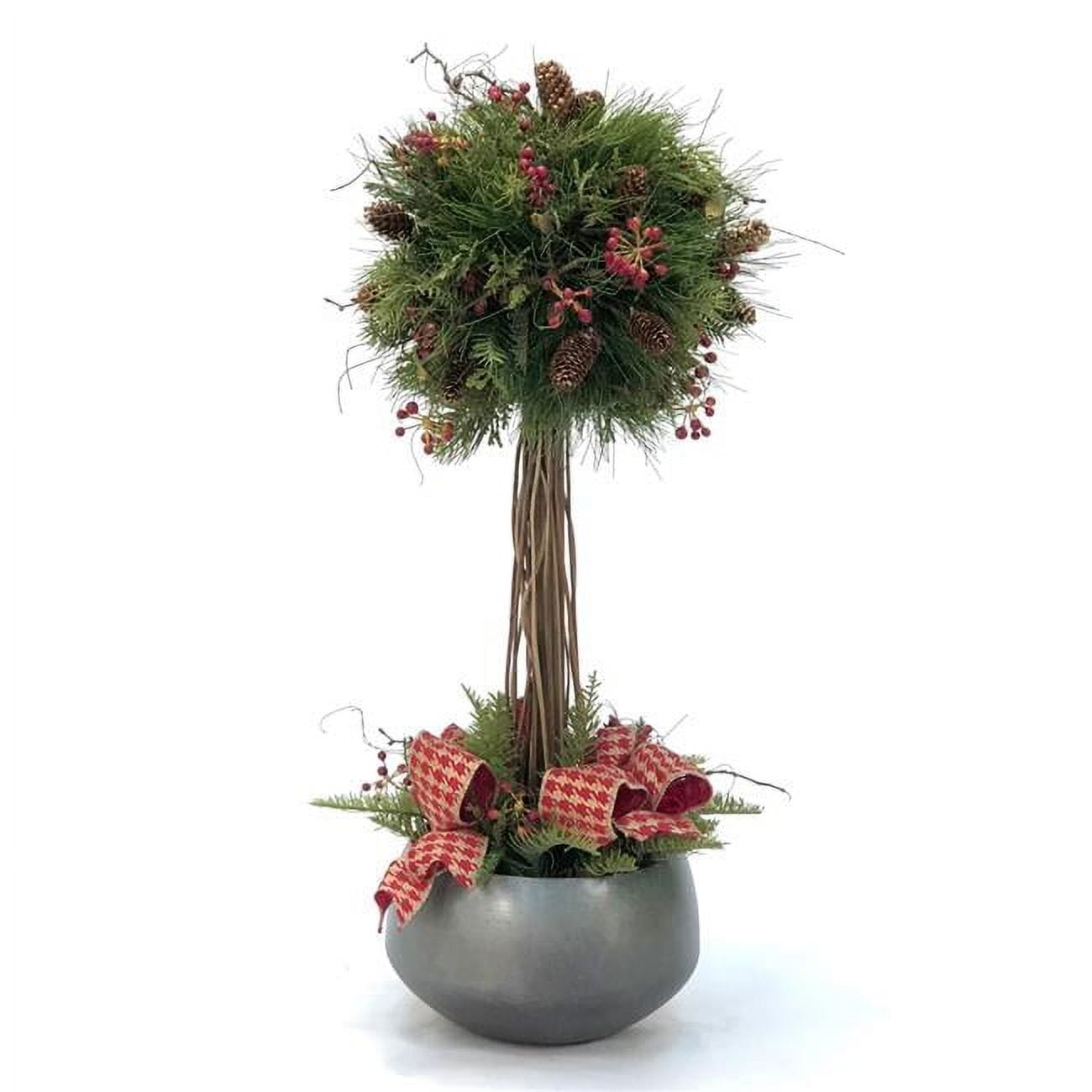Unisex Pine Ball Topiary in Sosa Bowl - Green