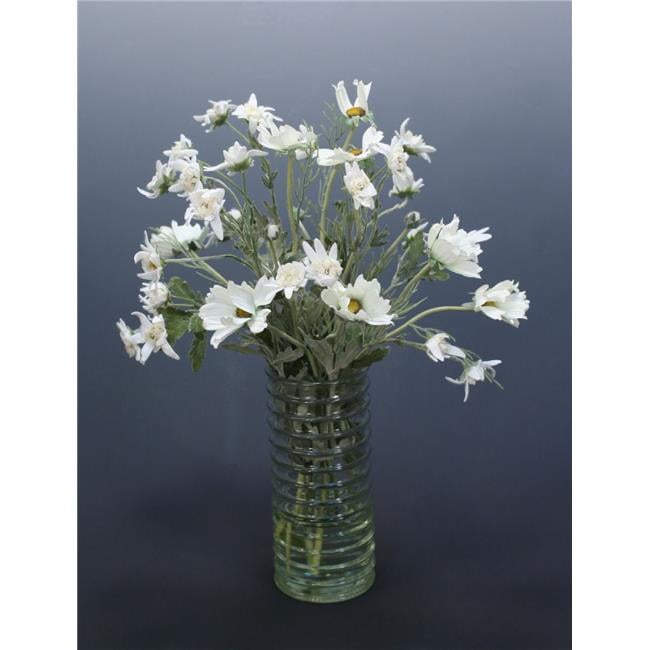 Unisex Cosmos in Ribbed Vase - Green