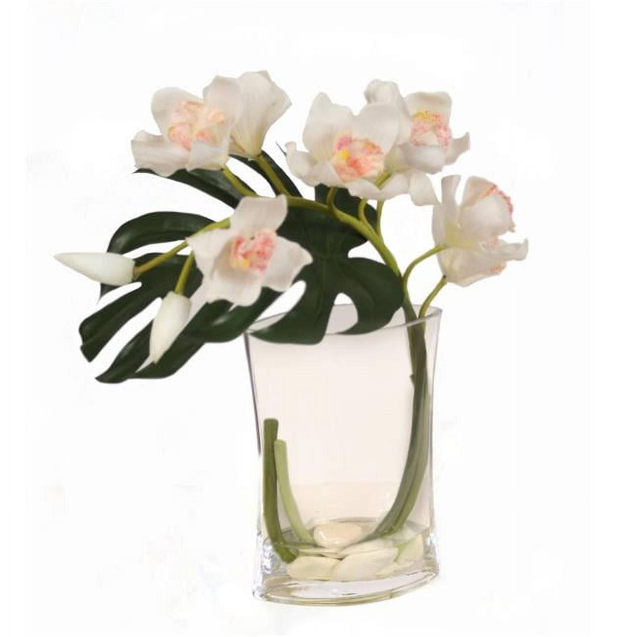 Unisex Cymbidium Orchid in Glass Vase - White