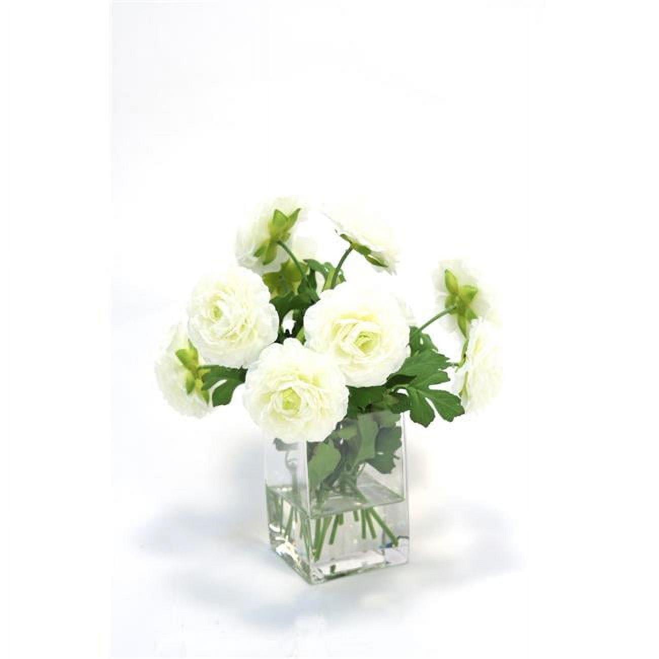 Unisex Cream White Ranunculus in Square Vase - Green