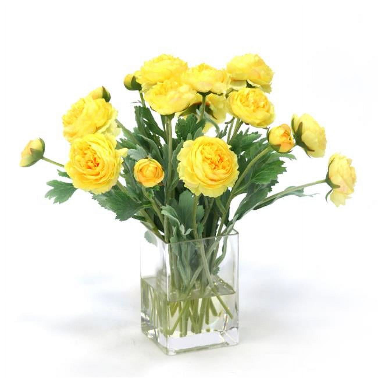 Unisex Yellow Ranunculus in Tall Rectangle Glass Vase - Green