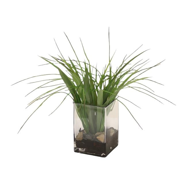 Picture of Disttive Designs 16230A Unisex Grass in Tall Rectangle Glass - Green