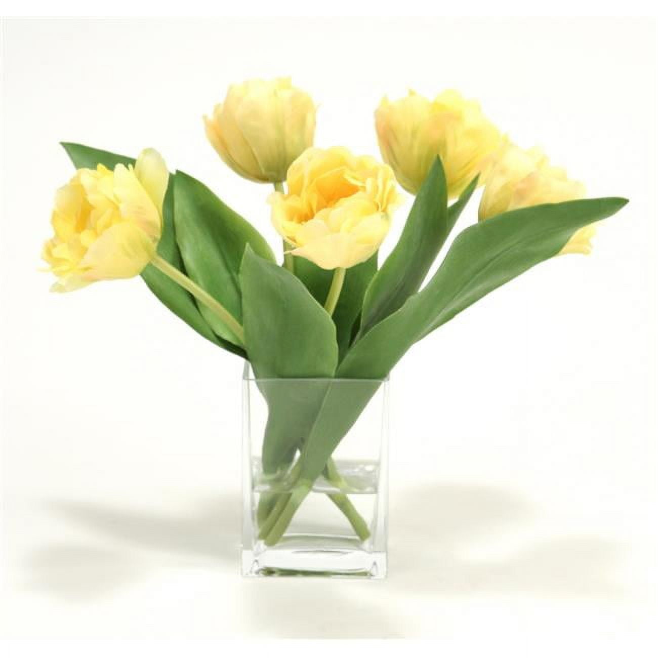 Disttive Designs 16236A Unisex Waterlook-R Yellow Parrot Tulips in Rectangular Glass Vase - Yellow