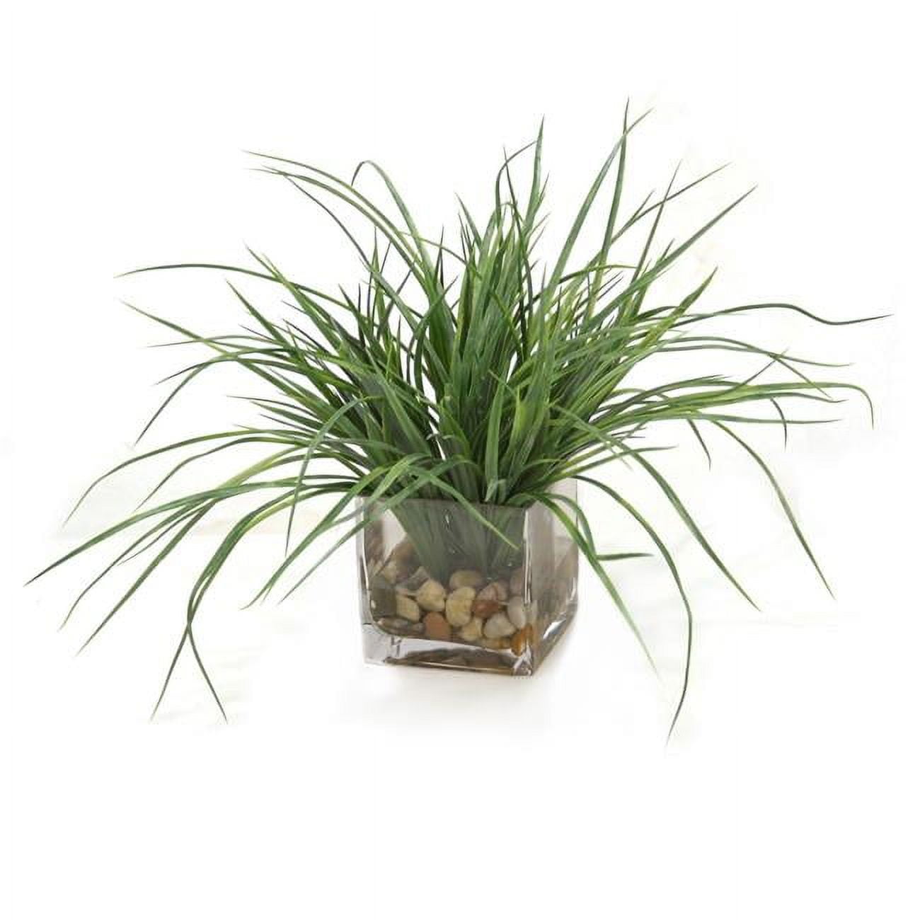 Unisex Grass with Rocks in Cube Vase - Mixed