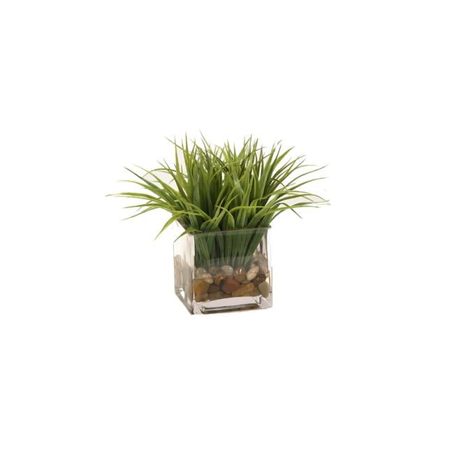 Unisex Grass in Glass Square Cube - Green