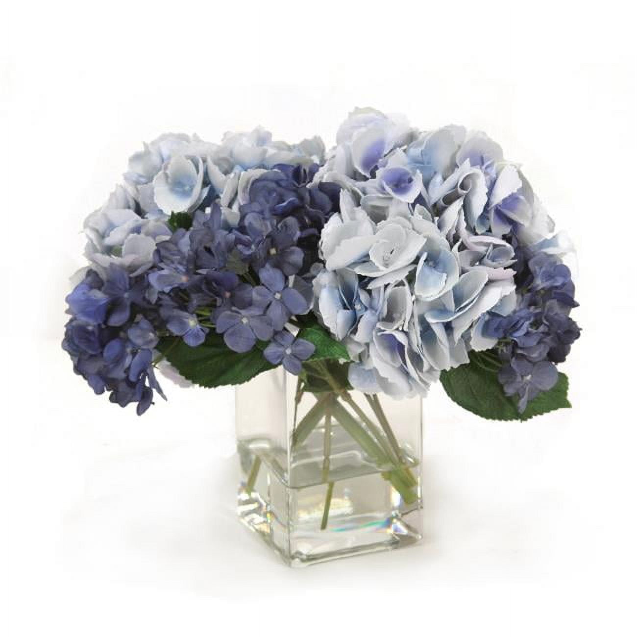 Unisex Blue & Navy Hydrangeas in Square Vase