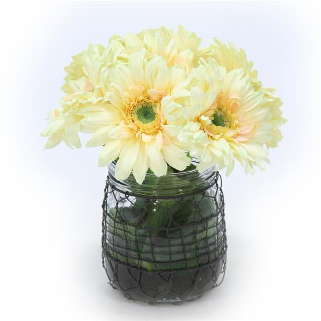 Unisex Gerber Daisy in Ball Wire Jar - Green