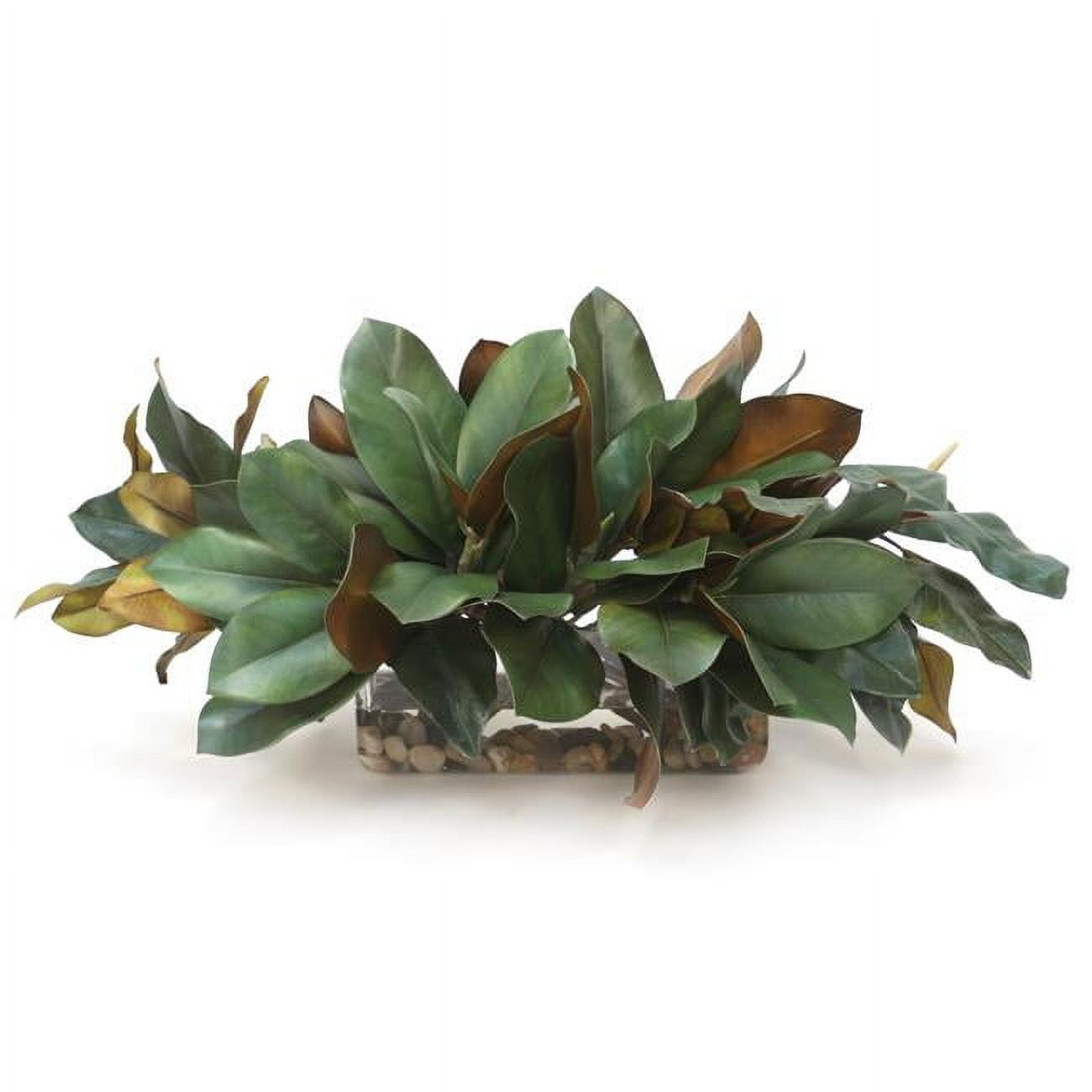 Unisex Magnolia Foliage in Low Rectangle Vase - Green