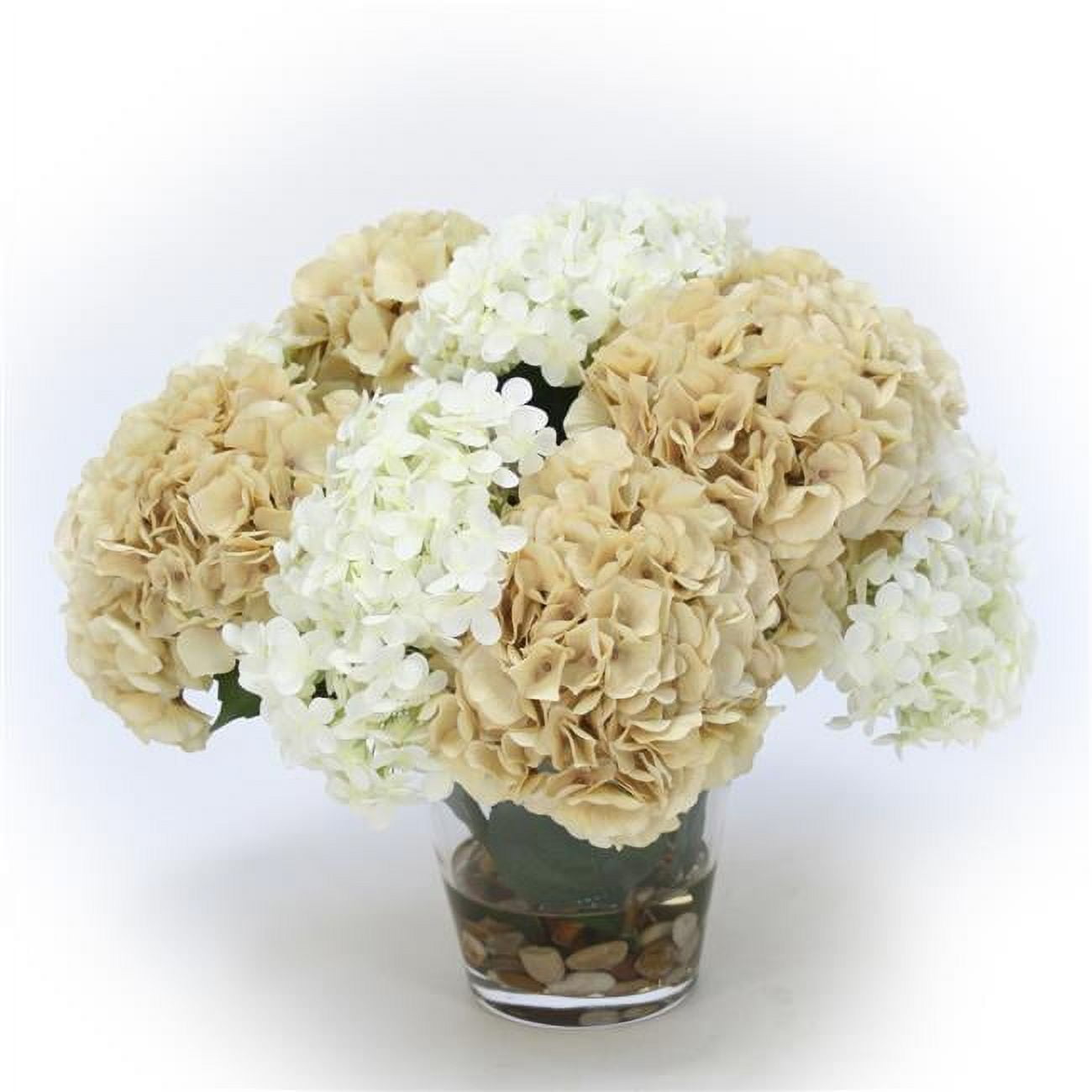 Unisex Beige & Cream Hydrangea Mix in Glass Vase - Green