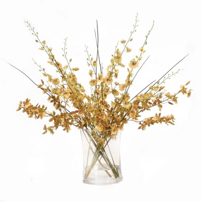 Unisex Gold & Yellow Oncidium Dancing Orchid in Glass - Green