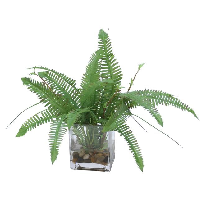 Unisex Fern with Mixed Grass in Rectangular Glass - Green