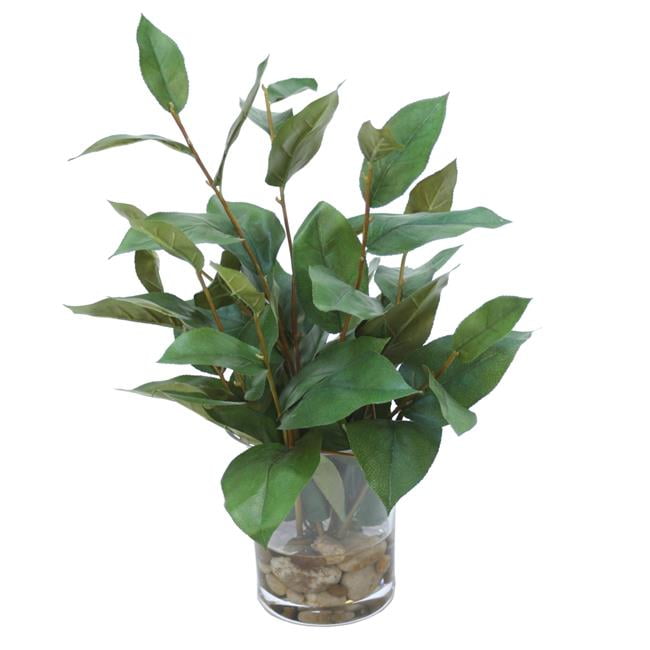 Unisex Bayleaf in Small Flared Rounded Glass Vase - Green