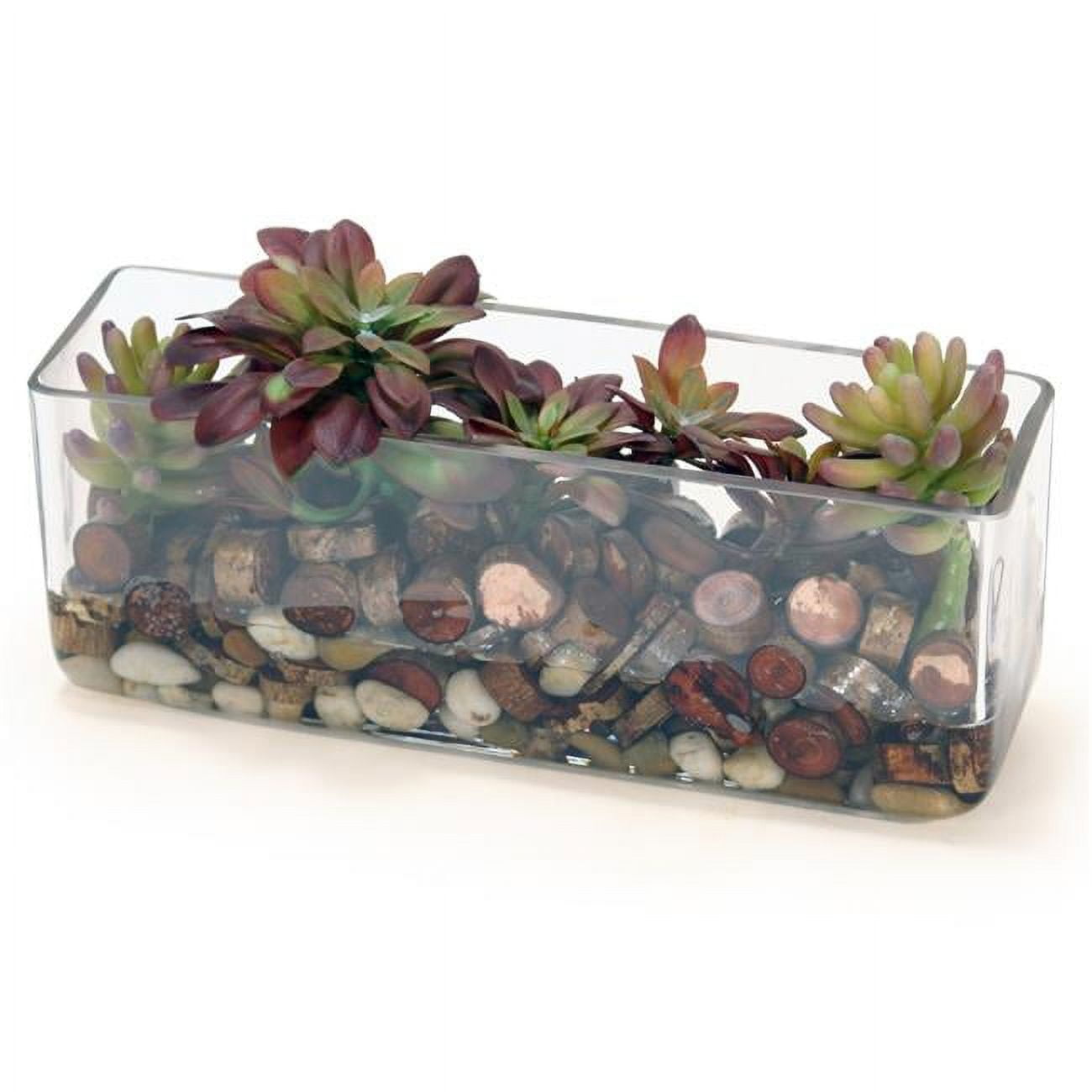 Unisex Trailing Hen & Chicken in Rectangular Glass - Red
