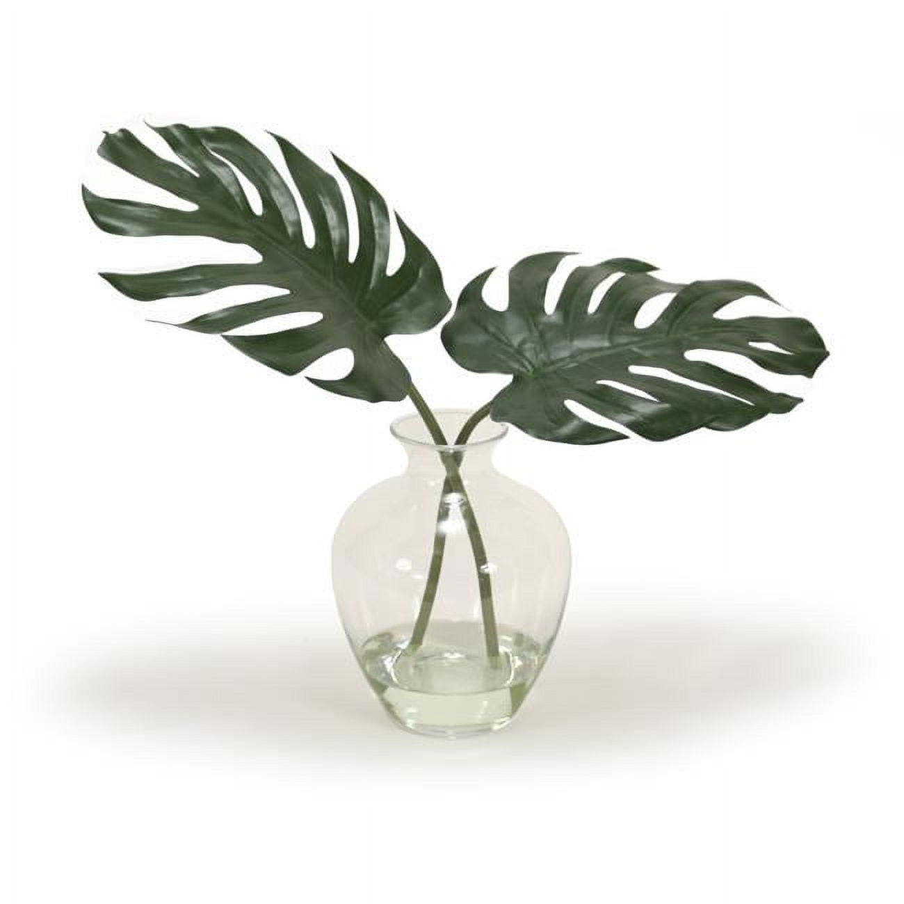 Unisex Philodendron Leaf in Glass