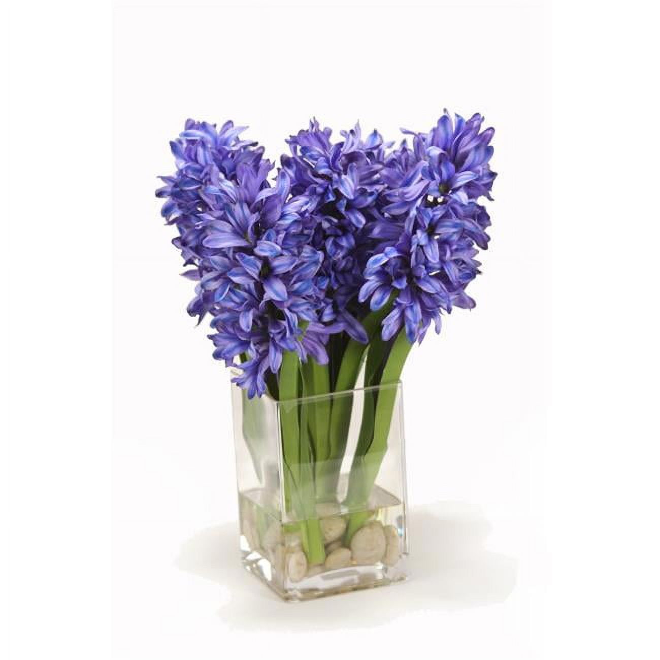 Unisex Blue Hyacinths in Square Vase
