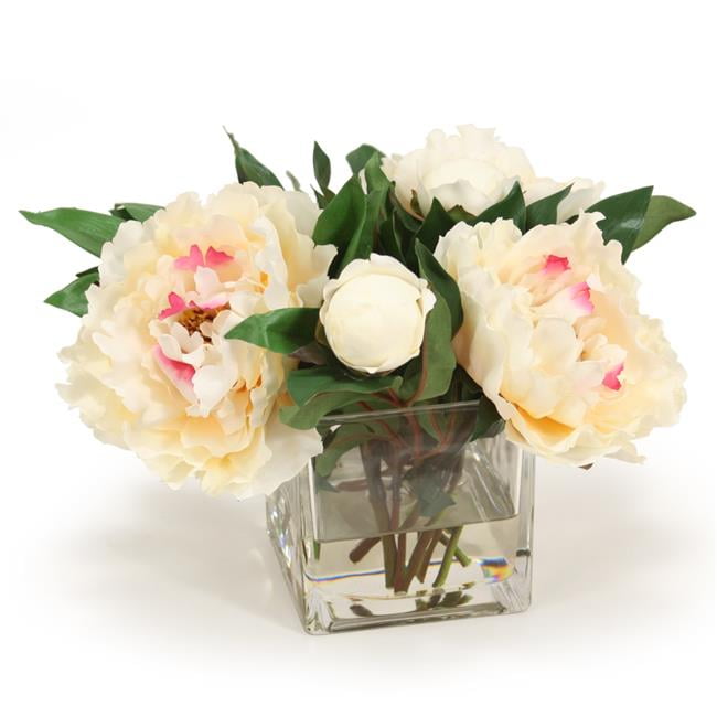 Unisex Cream Peony in Square Glass - White