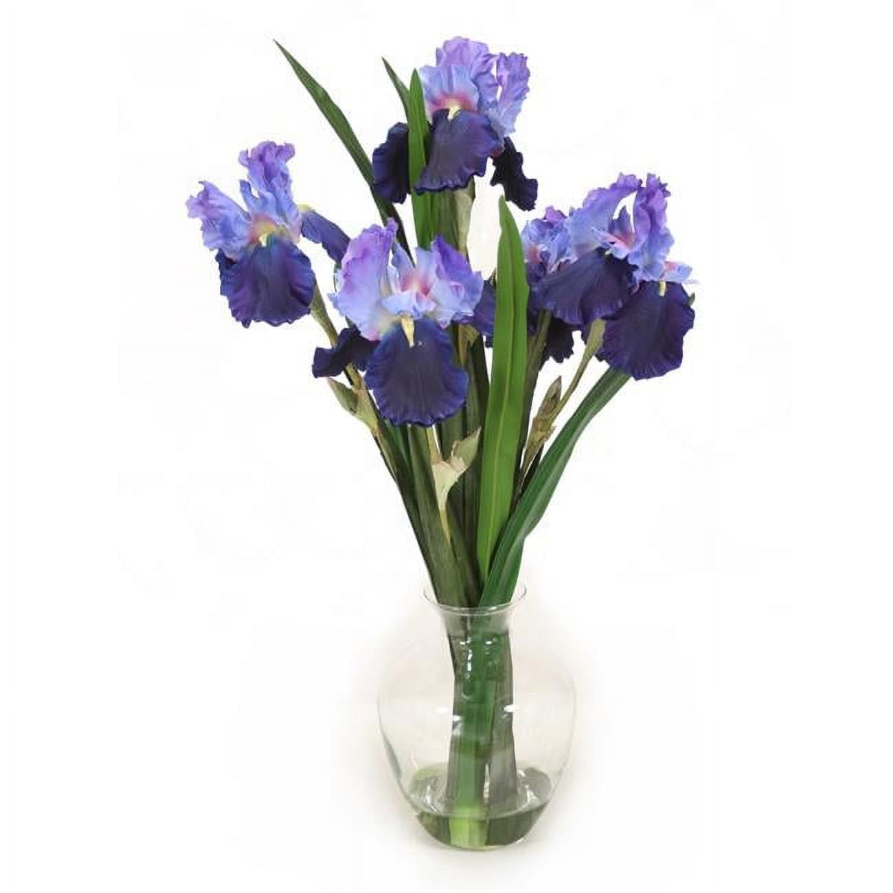 Unisex Blue Violet Iris in Glass Vase