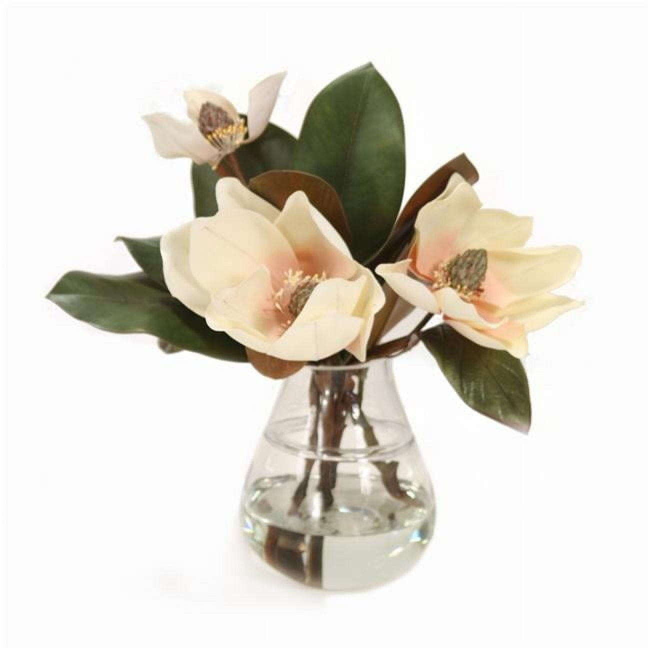 Unisex Magnolias in Teardrop Glass Vase - White