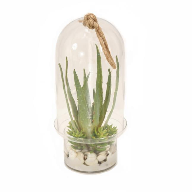 Unisex Succulent Garden in Glass Dome - Green