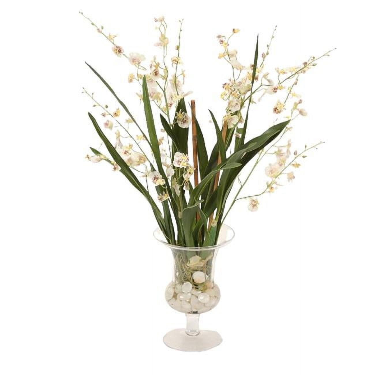 Unisex White Oncidium Orchid with Rocks & Shells in Glass Urn