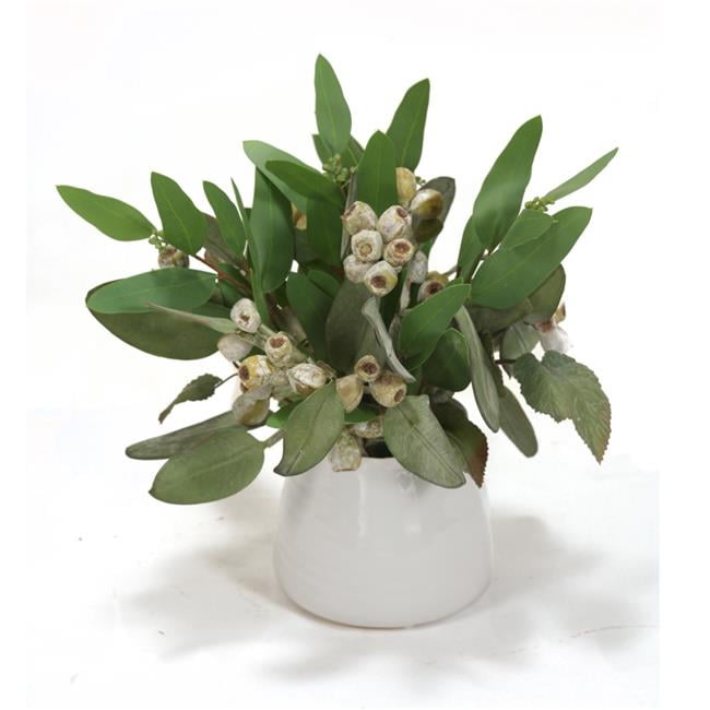 Unisex Frosted Eucalyptus in White Container - Green