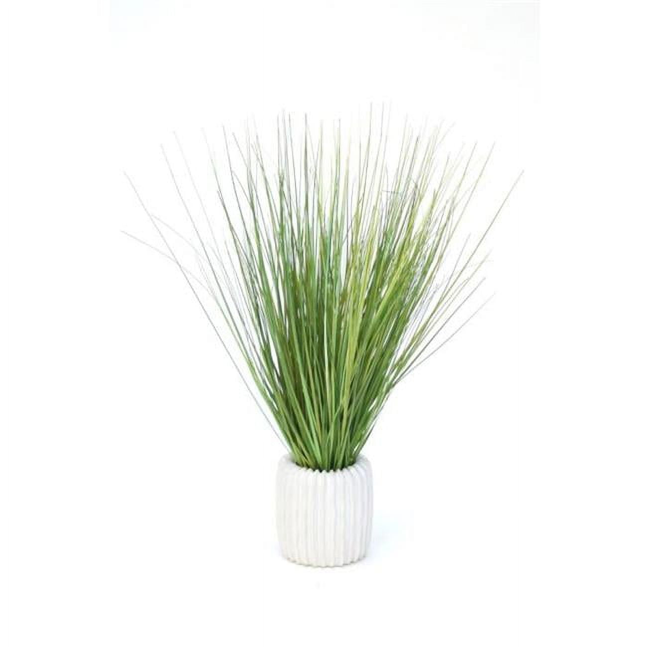 Unisex Grass in White Ribbed Vase - Green