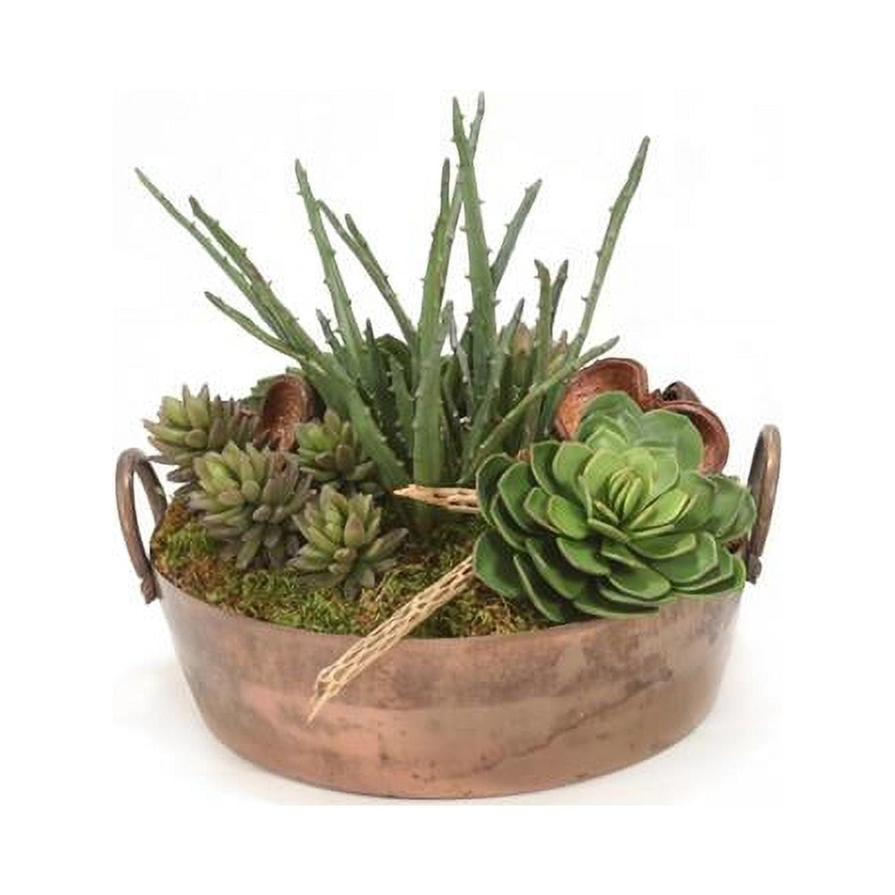 Unisex Mixed Succulents in Round Copper Planter - Green