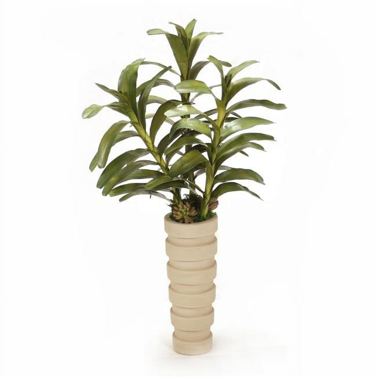 Unisex Dendrobium Plant with Succulents in Tall Planter - Green