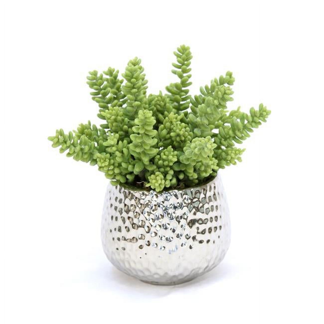 8 in. Unisex Succulent in Metal Dimple Pot - Green