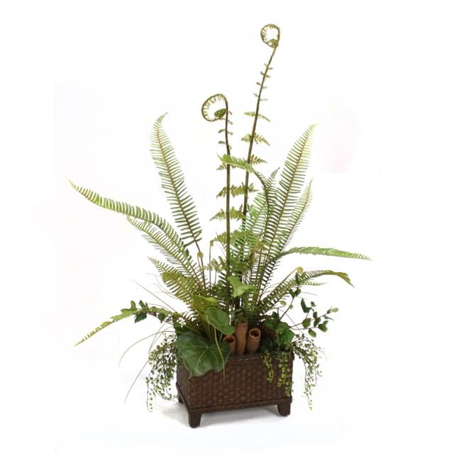 Unisex Fern Mix in Basket - Green