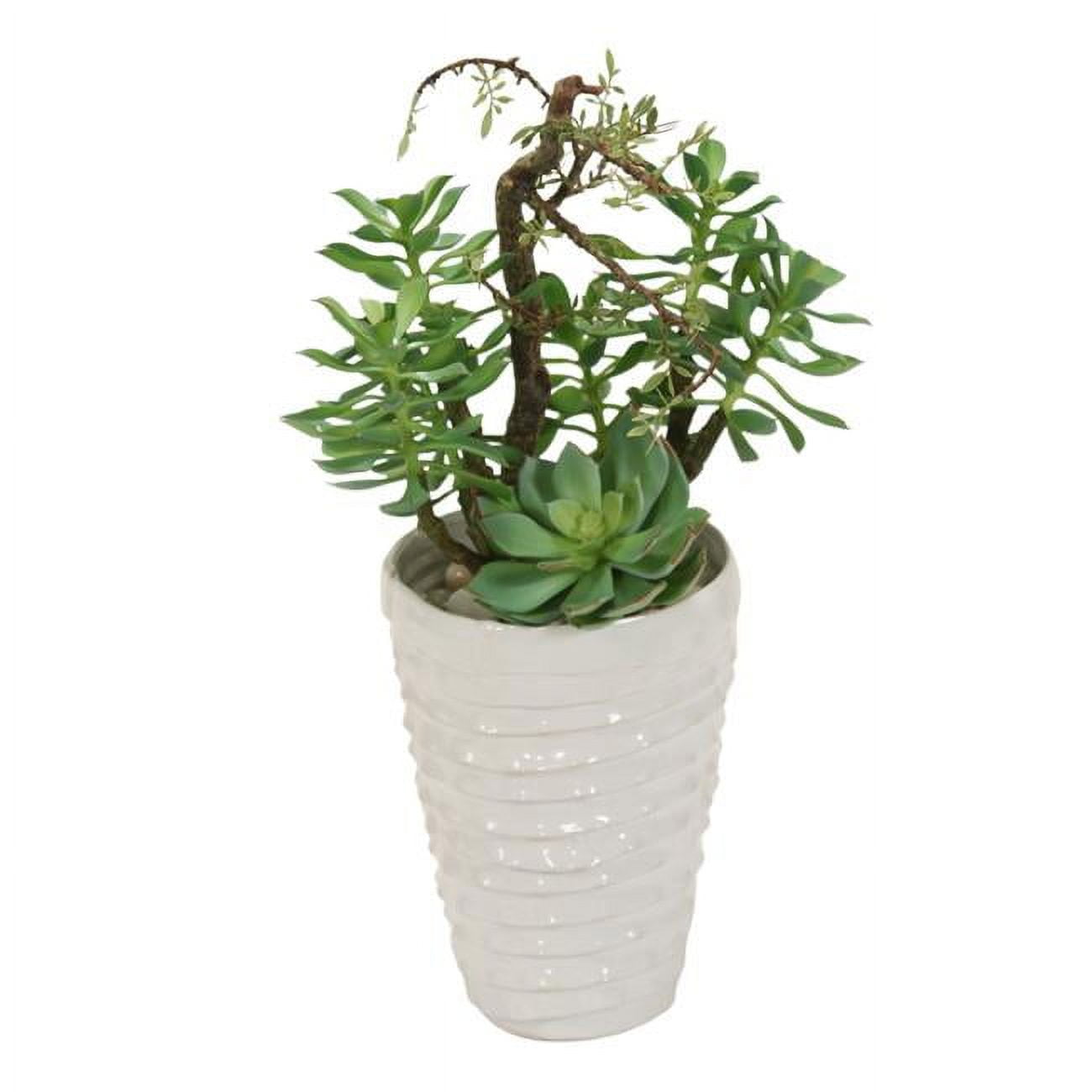 Unisex Succulent Garden in White Layered Pot - Green