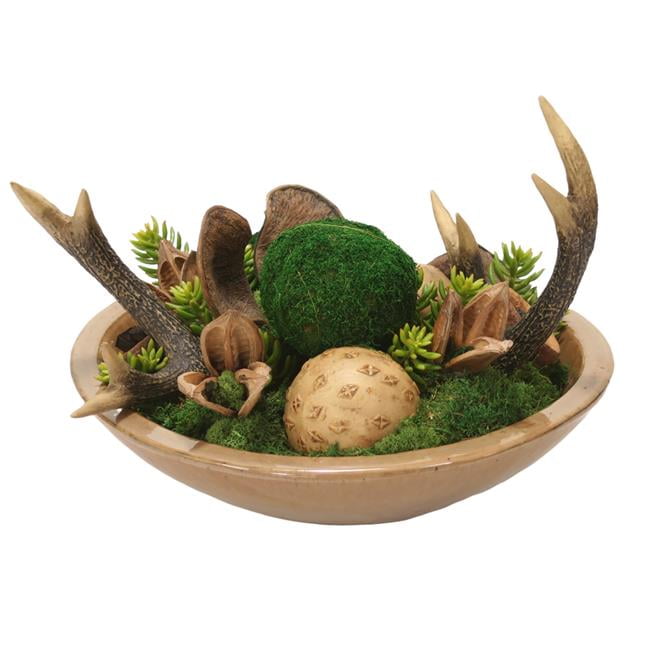 Unisex Mixed Succulent Garden & Moss in Mocha Stoneware Bowl - Green