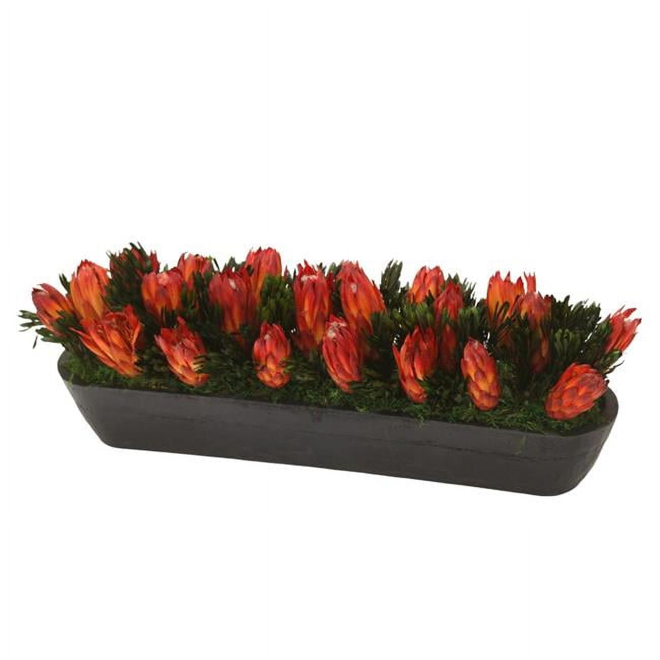 Unisex Red Repens in Long Black Planter - Red