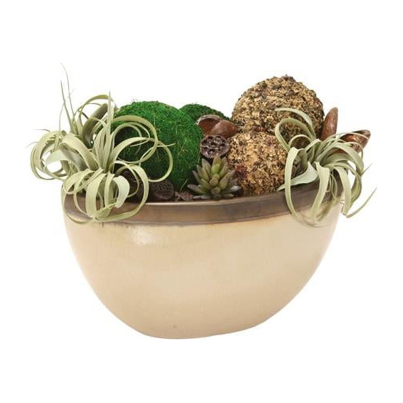 Unisex Mixed Succulent Garden with Pods in Beige Planter - Green