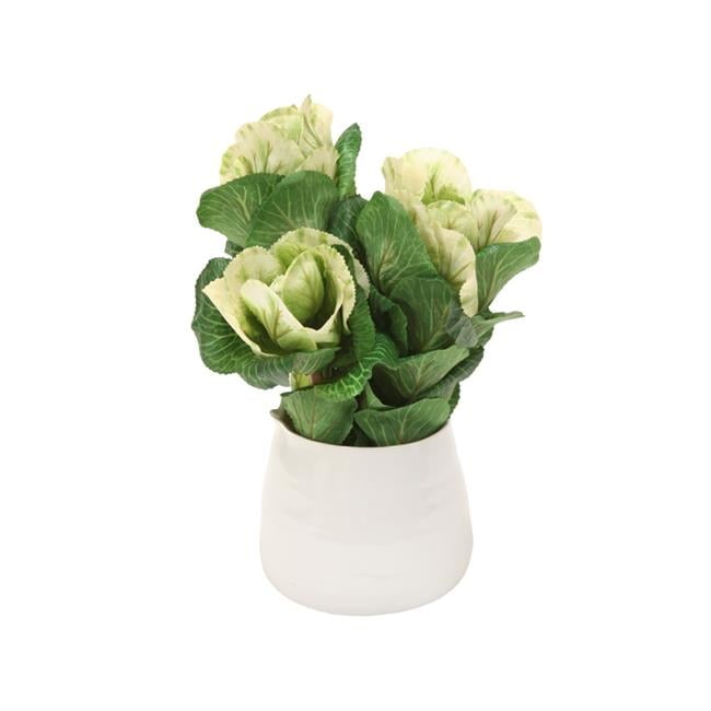 Unisex Kale in White Vase - Green - Pack of 3