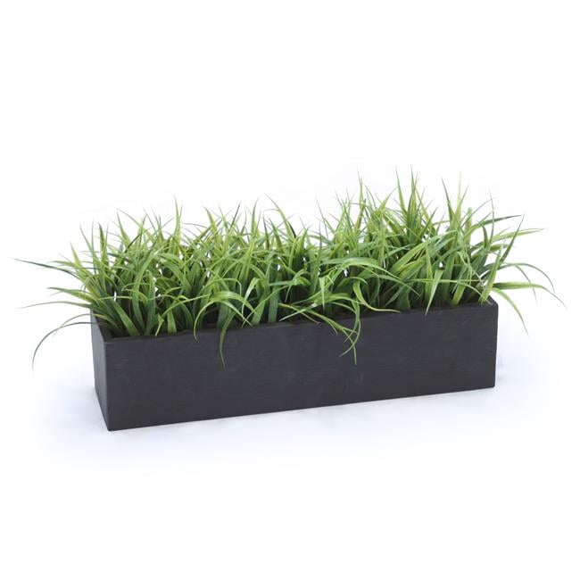 Unisex Grass in Black Box - Green