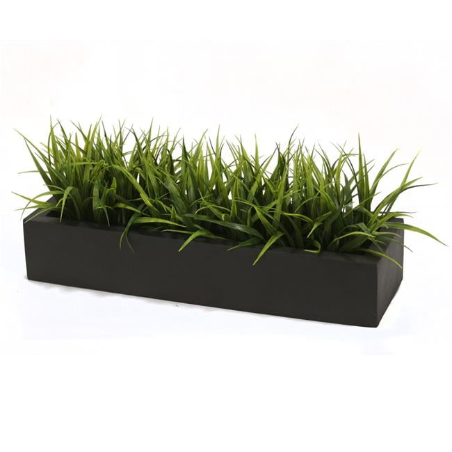 Unisex Grass in Fiberstone Black Box - Green