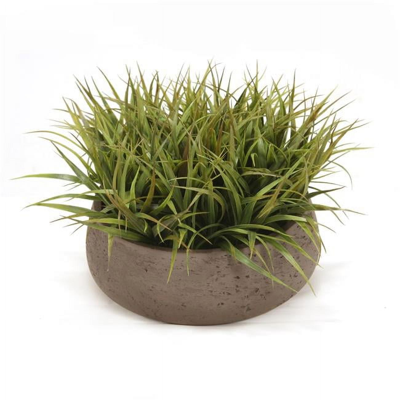 Unisex Grass in Black Wash Round Planter - Green